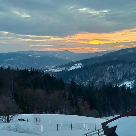 Trzy Ptaki